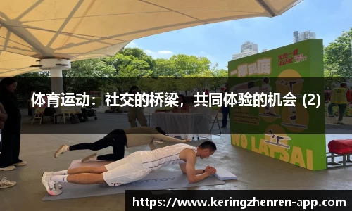 开云真人